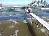 CÔNG TÁC THÚ Y NẶNG NỀ, NHƯNG CŨNG RẤT VINH DỰ