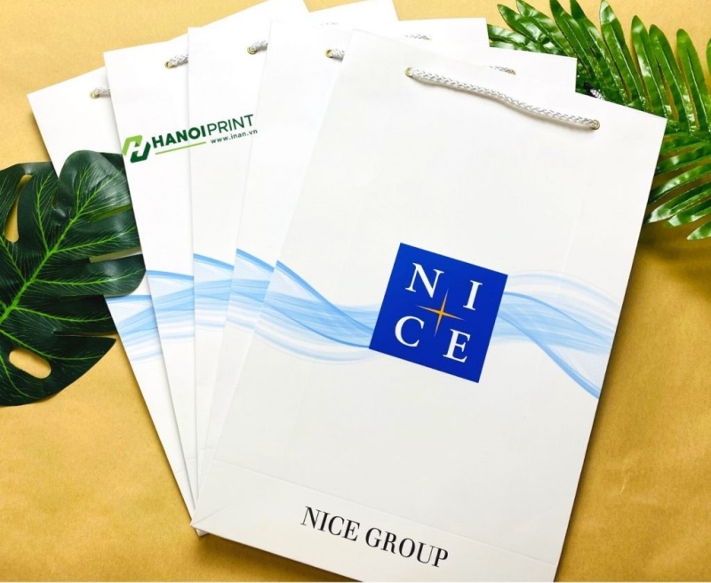 In Hiệp Phú in túi giấy cao cấp cho Nice Group – Giải pháp in ấn nâng tầm thương hiệu