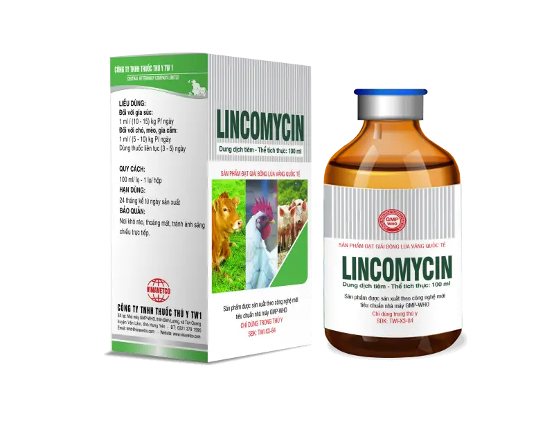 LINCOMYCIN