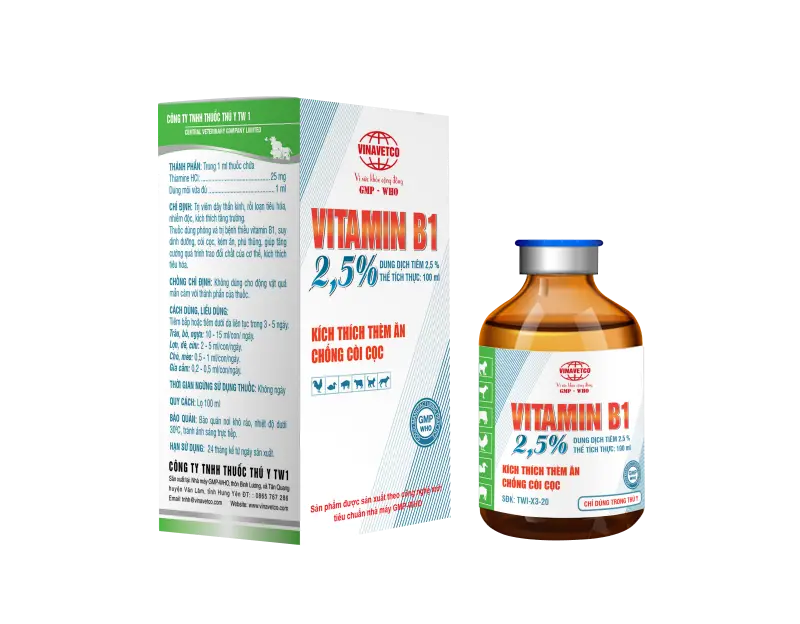 VITAMIN B1 2,5%