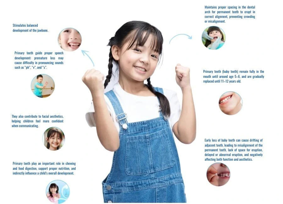 Children´s Dental Services