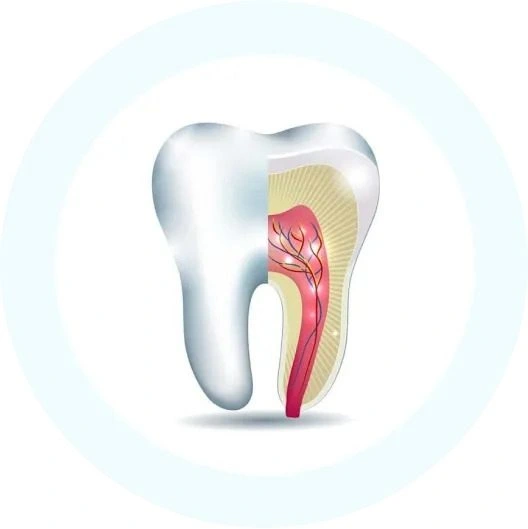 Children´s Dental Services