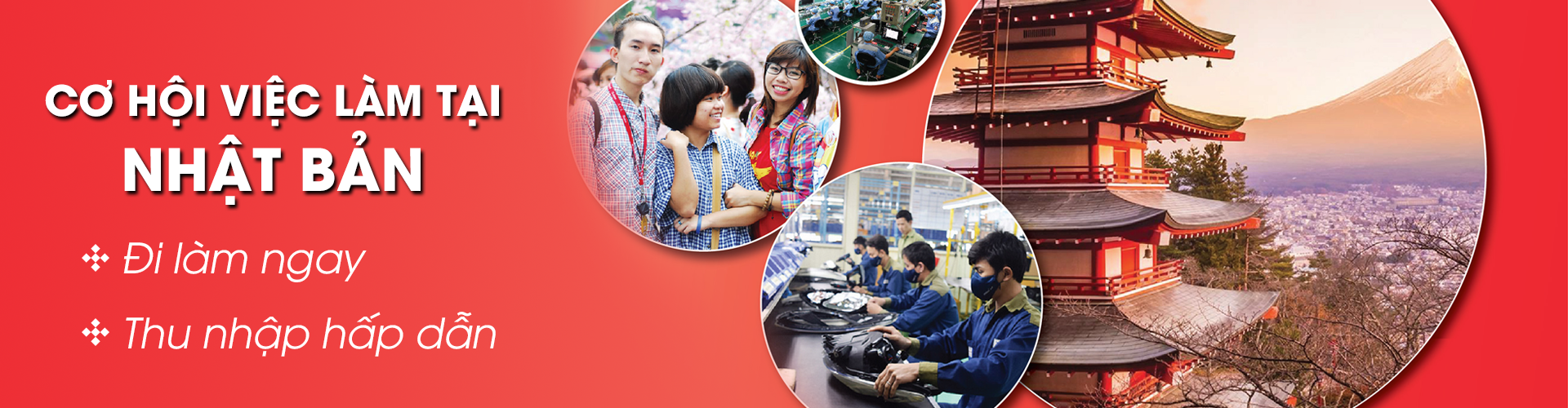 Chương trình Internship