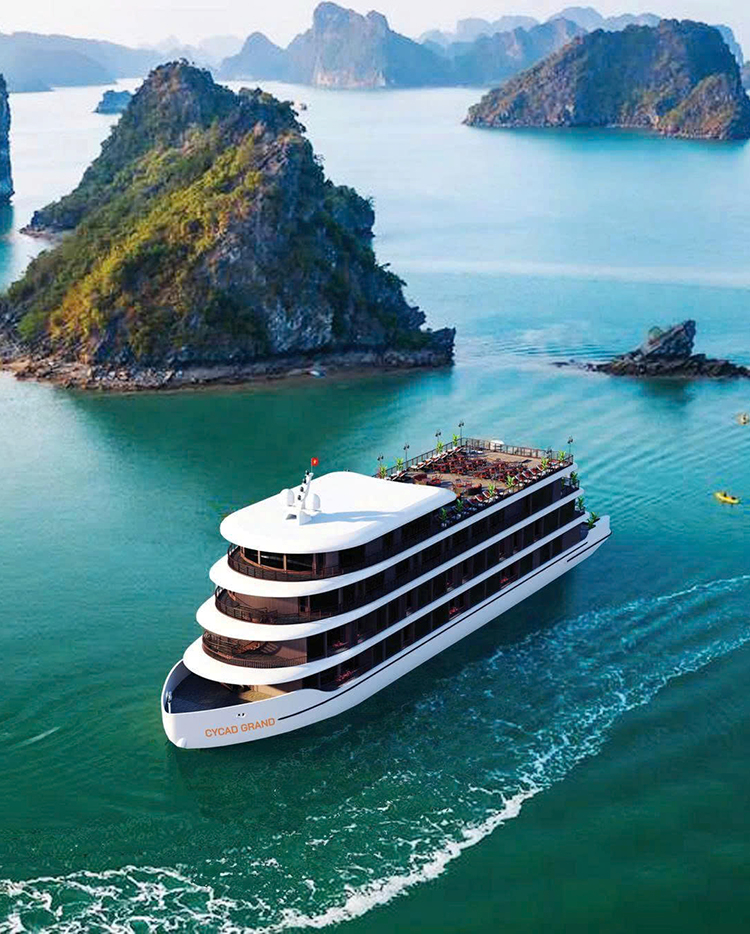 Wellcome to Cycad Cruise